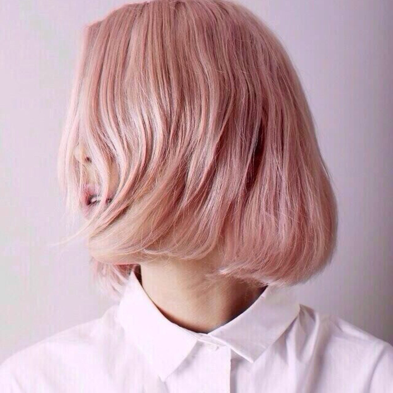 aa_an14 Profile Picture