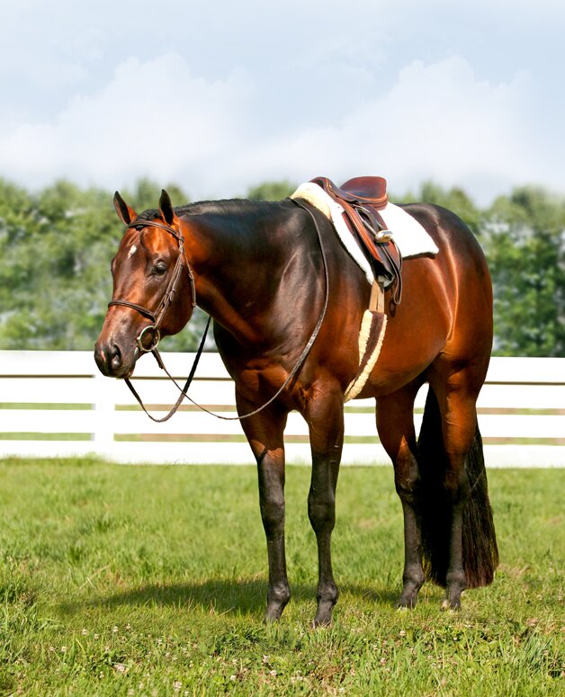 JustLikeDetail's profile picture. Reserve Congress and World Champion, http://t.co/iRtkfcED2s