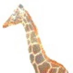 ここには何もありません