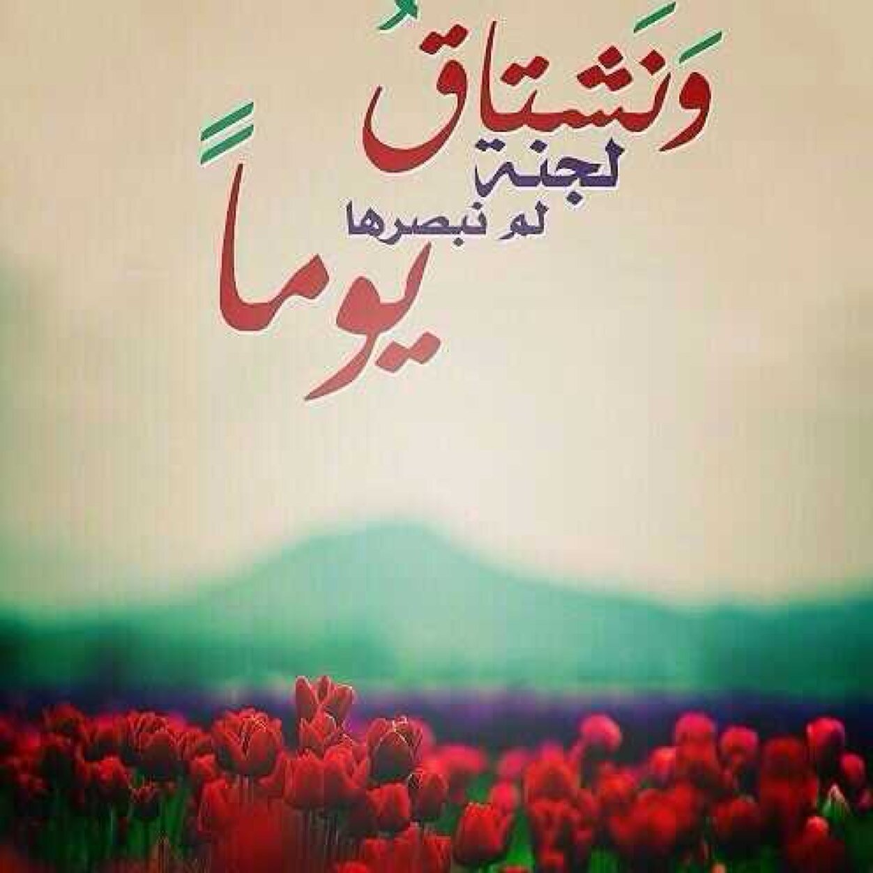 سَ ياتي يوم لن آكون معكُم وسَ تدخلو لتقرآوآ مَ كتبت هنا فَ آن وجدتُم مَ يوجرني انشروهه وآن وجدتُم مَ يُوثمني فَ تركوهه ♡'