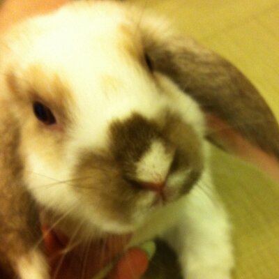 えつたろう