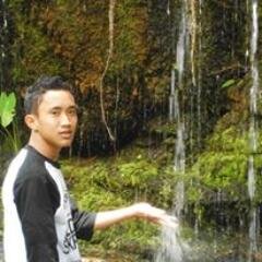 bisa
