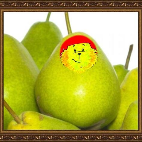 Ik ben geen knuffelbeer.