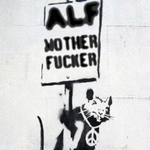ALF! Choose Love, Choose Peace, Choose Kindness, Choose Compassion, Choose Equality, Choose Non-Discrimination, Choose Non-Violence, Choose Life, Choose Vegan.