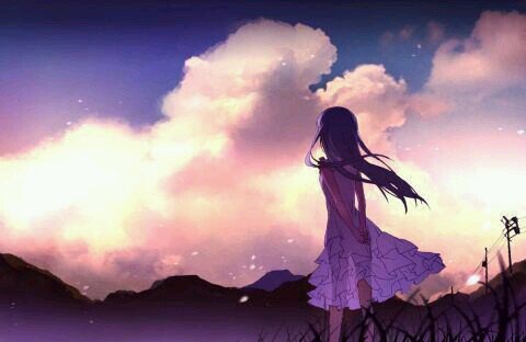 softmachine14's profile picture. 