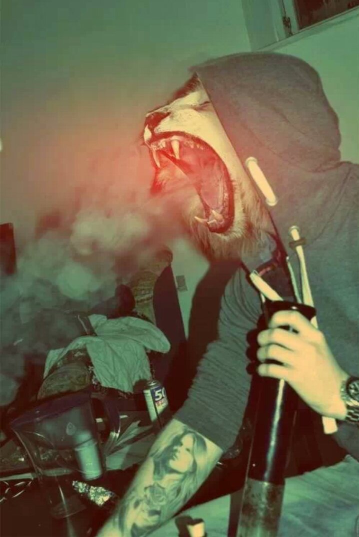 0000Weedy's profile picture. 