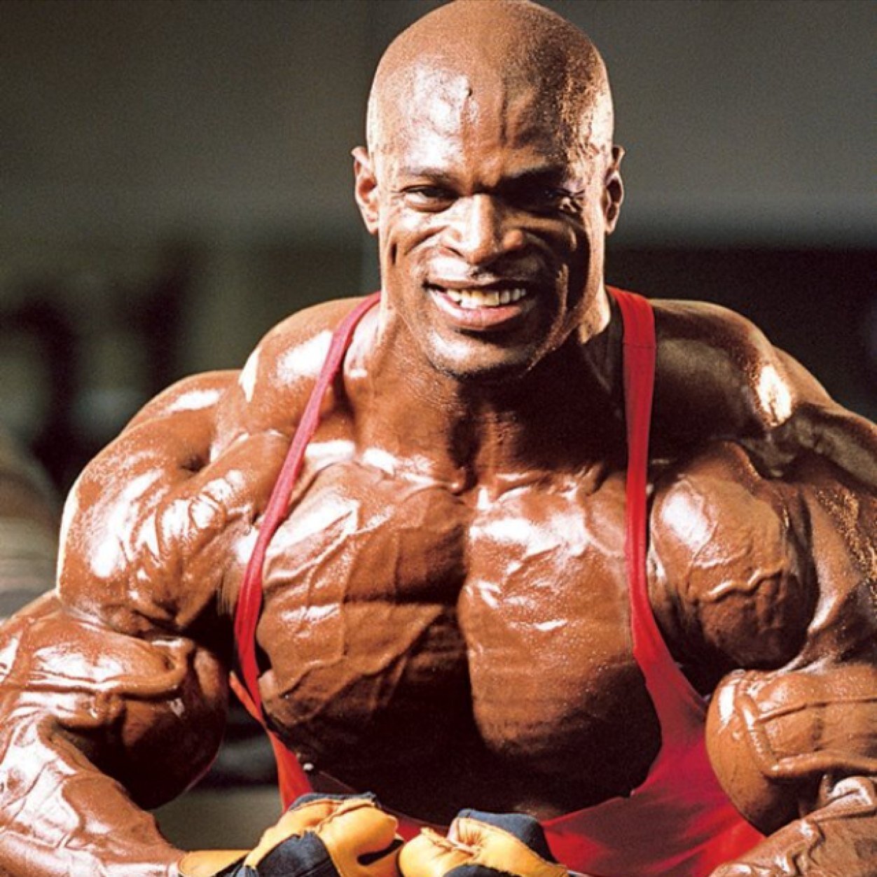 BBuildingGuru's profile picture. Just here to help and inspire. Tweet me your bodybuilding questions!