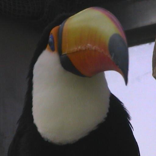 xicu_xicu's profile picture. 