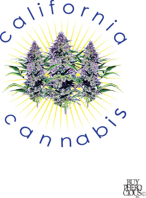 calicannabis Profile Picture