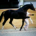 Phil Silva - @tenbroeckfarm - Twitter