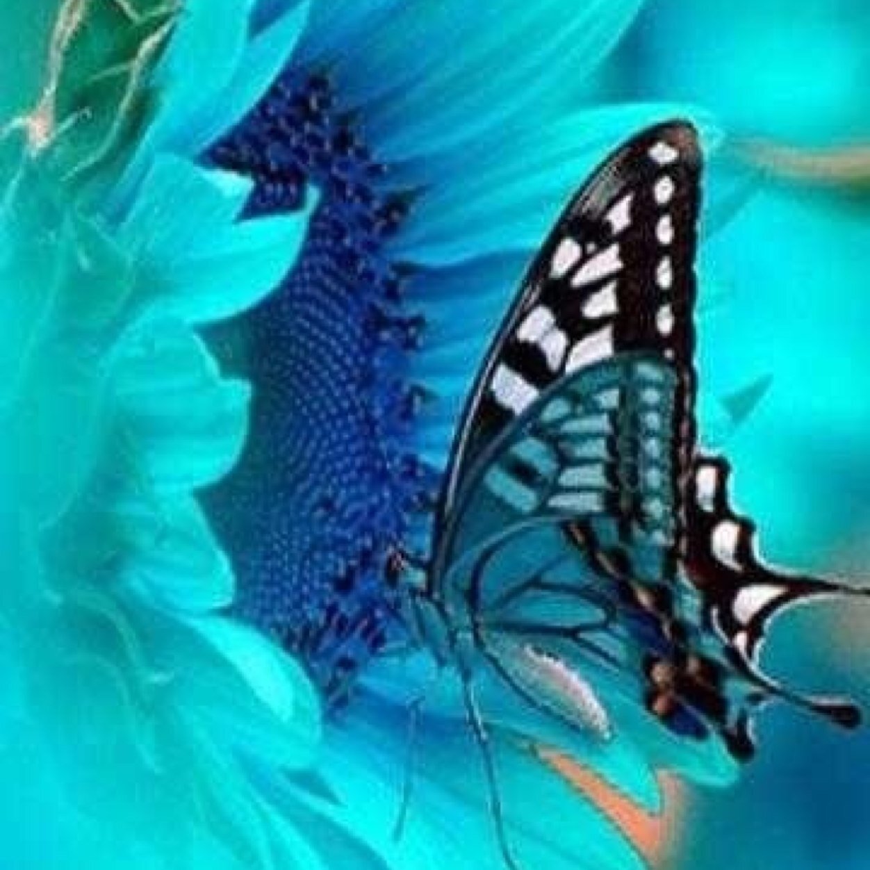 jbritt1304's profile picture. 