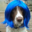 mari fraser - @mcfragg - Twitter