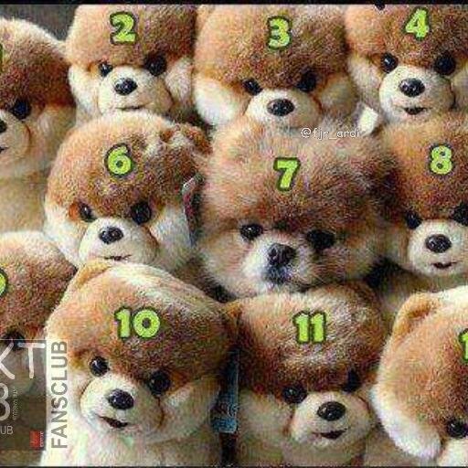 zero0000q's profile picture. bingung mau di isi apaan :v