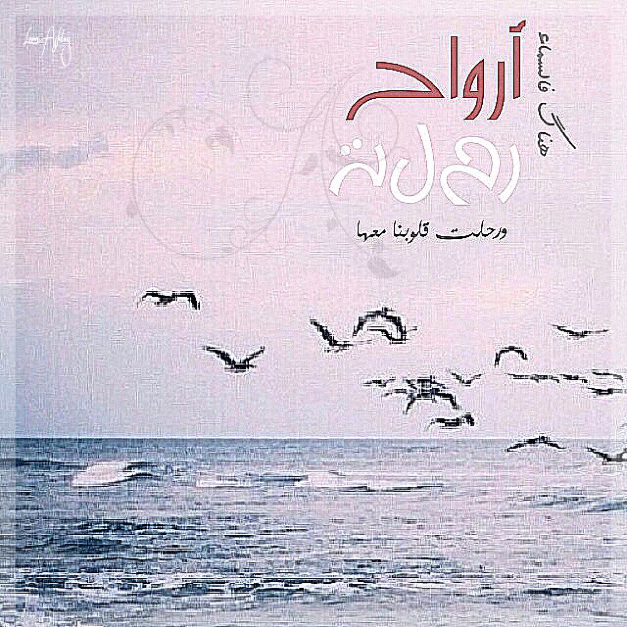 جميلة الروح