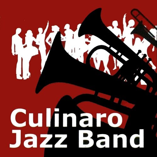 Big-band de quatorze musiciens dont une chanteuse, professionnels et amateurs passionnés du Jazz dans le Midi-Pyrénées #jazzband #toulouse #tarn #bigband #salsa
