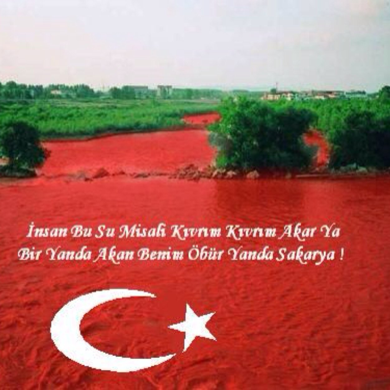 ErenlerSosyal's profile picture. 