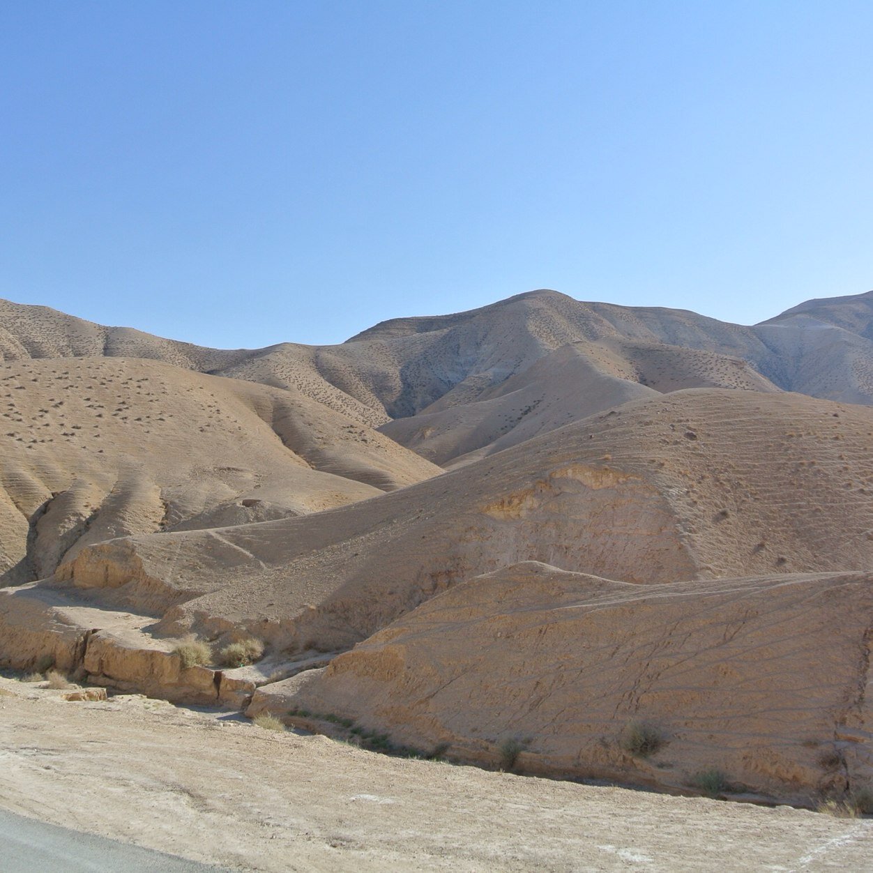 BBpraktisch's profile picture. 