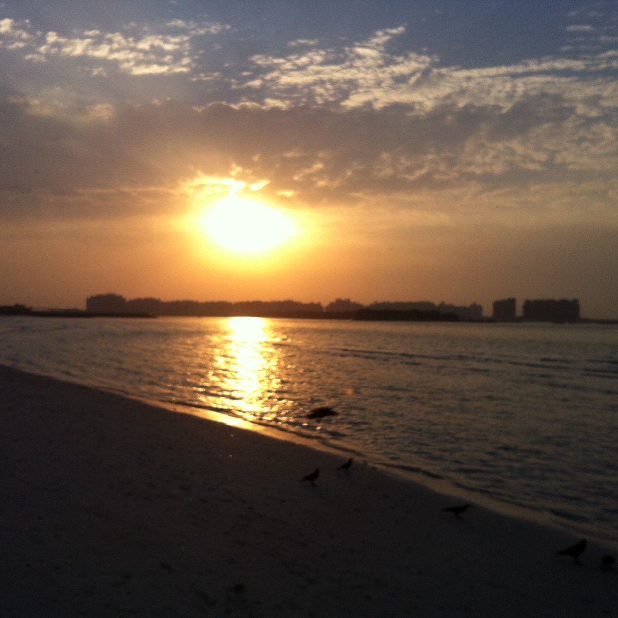 Shalinidxb's profile picture. 