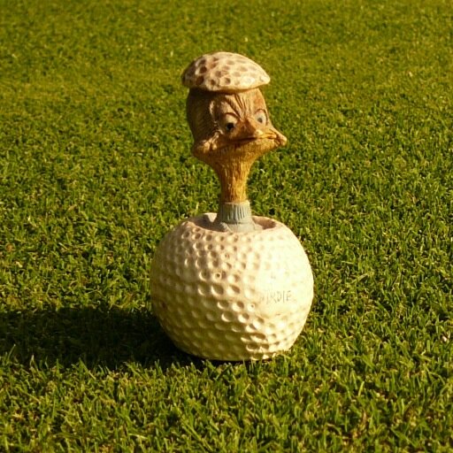 Golfplatztester, Geschichtenerzähler, ehem. Golfjournalist  - Amateur.