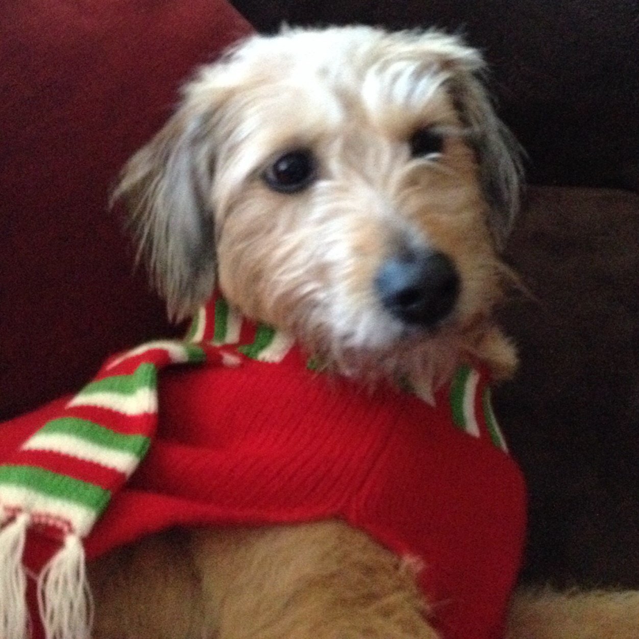 FlynnOlga's profile picture. 