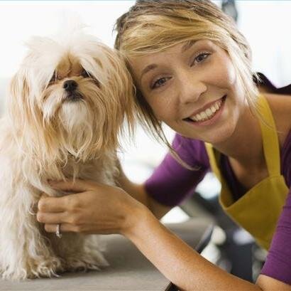 One of the biggest challenges when it come to dog grooming is the issue of spills & messes. This is common if you have a large or high maintenance dog to groom.