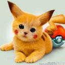elihu preciado (@009Elihu) Twitter