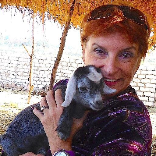 LaurensGrammy's profile picture. Off to Egypt to dig up more on our ancient teachers. Spending a month with my husband and his family.  Time will help heal the Trumping of Democracy.