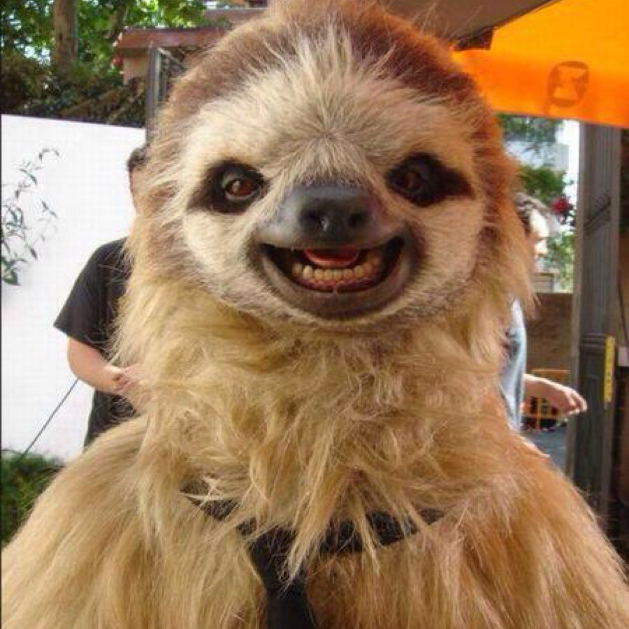 MikeResort's profile picture. 