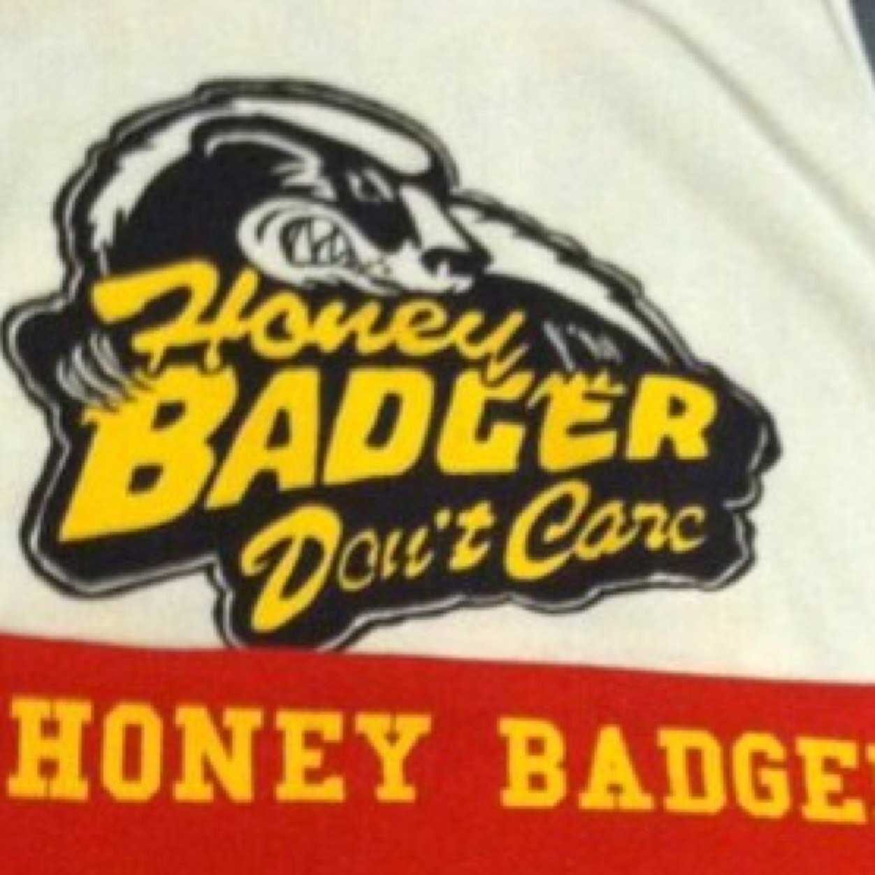 Team HoneyBadgers is a team formed by the two best coaches in 7-on-7 football. Your envy is what fuels our practices. 
#Kobesystem