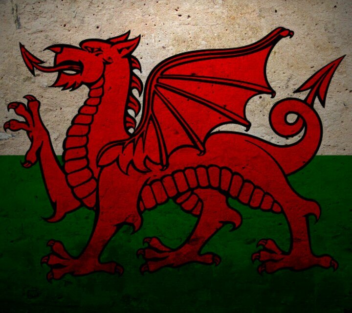 ACowhen's profile picture. 