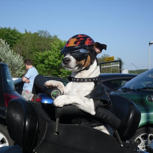 superbike pilot