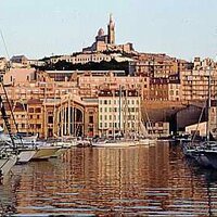 Rodje13 🗽Allez l’⚽️M (@rodje13) 's Twitter Profile