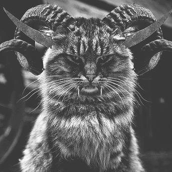 AlBarnes0's profile picture. 