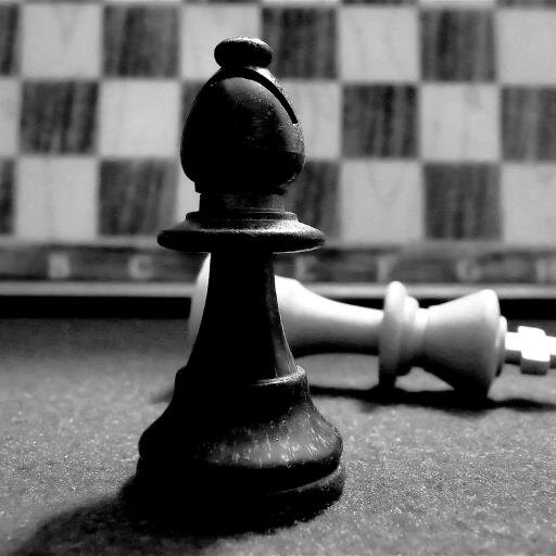 FIDE International Organiser and Arbiter