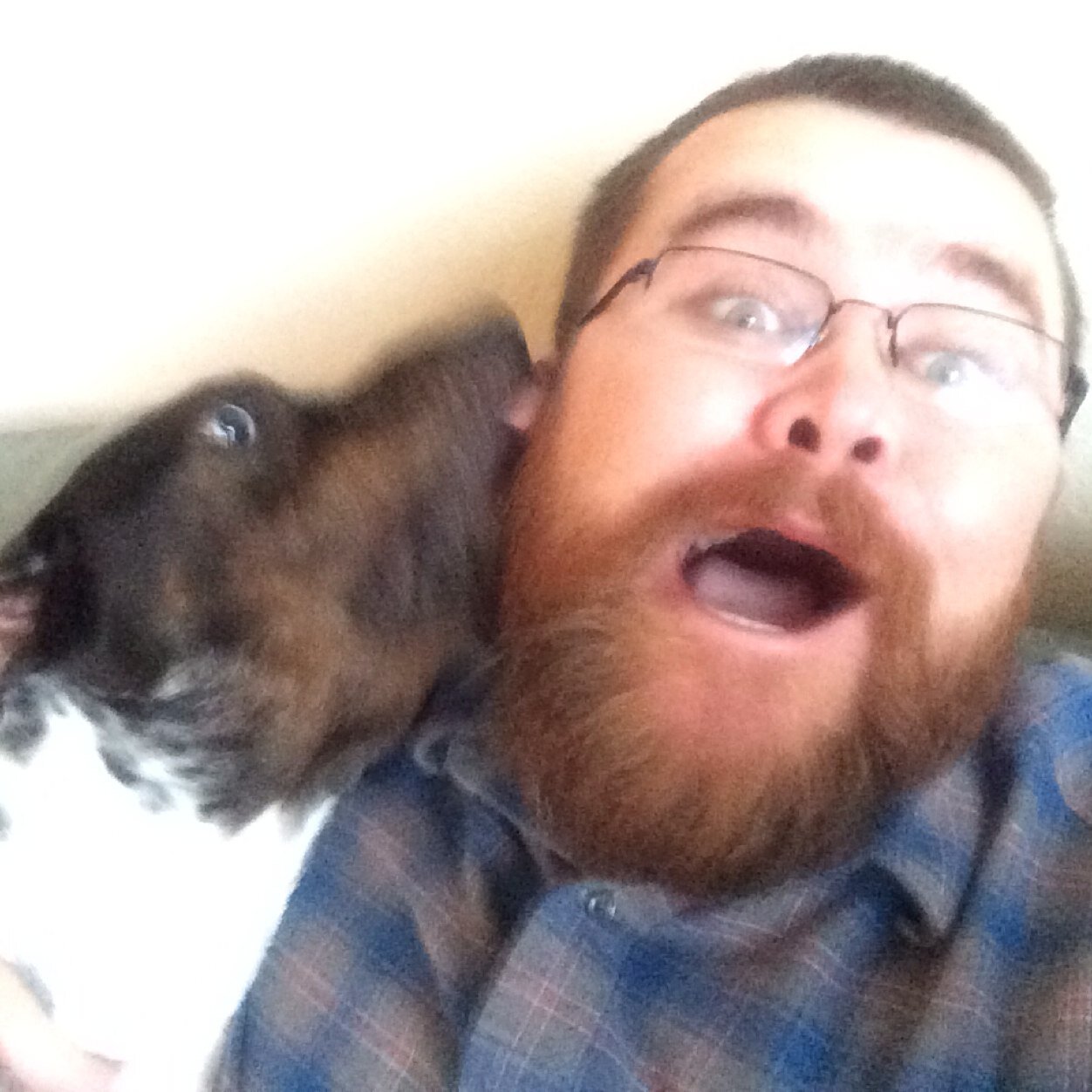 MikeLittle83's profile picture. 