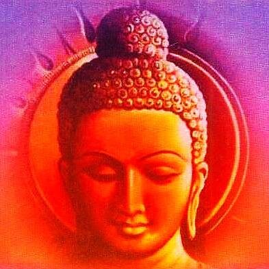 Interested in communicating with Buddhists and animal lovers everywhere. All living beings are equal!