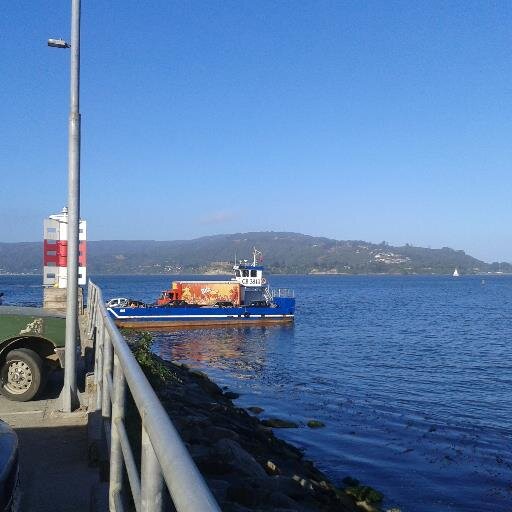 glirella's profile picture. 