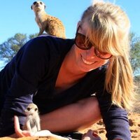 Alecia Carter (@alecia_carter) 's Twitter Profile