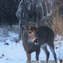 Josh Muller - @Josh_muller5 - Twitter