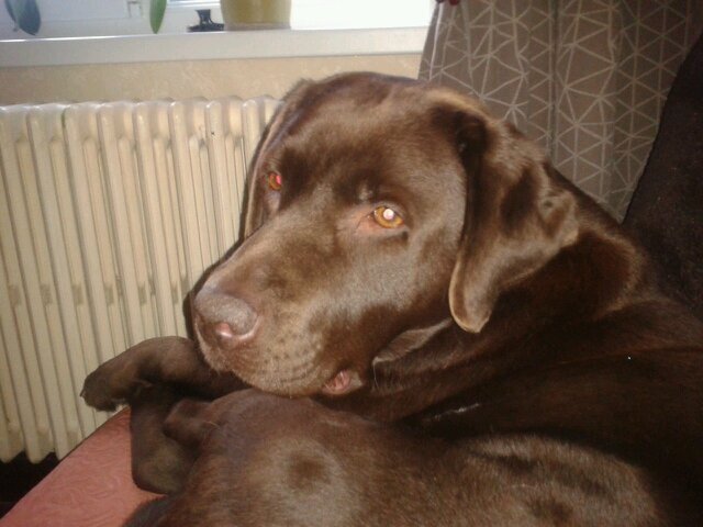 arnaud7071's profile picture. 