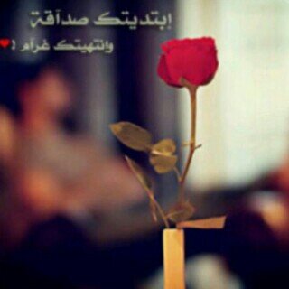 و بعَدك ؟! لا ارُيد مِنْ الحُب انْ يحَالفَنيّ مُرةً اخُرى                                                             
juwan