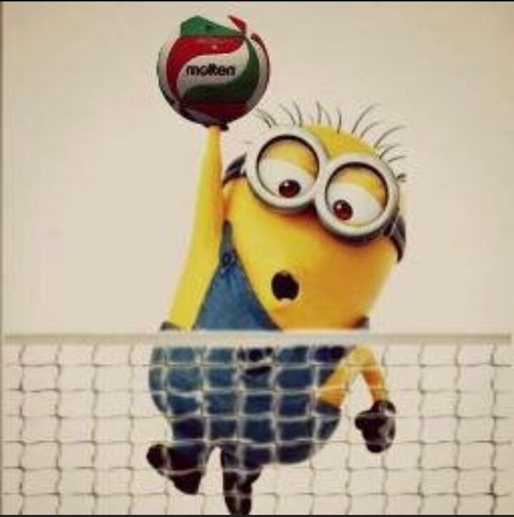 Cuenta dedicada al voleibol y para hacer saber a la gente que el voleibol también existe
