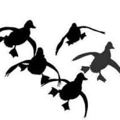No hunt clubs, No  leased land, 100% hard core Duck and Goose hunting.