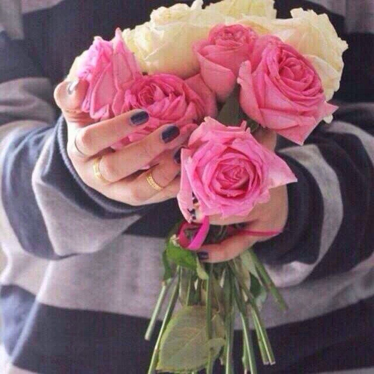 hh_ash101's profile picture. 