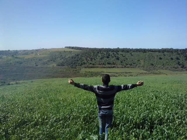 YassineAchlouj's profile picture. 