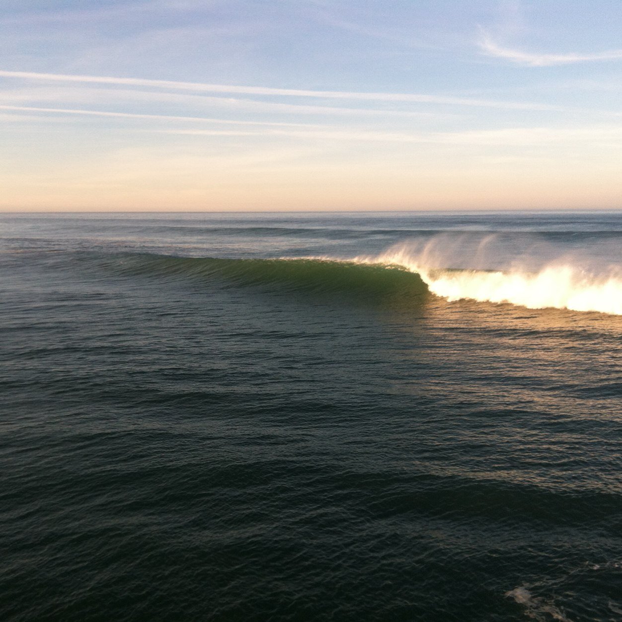 jesselmorse's profile picture. 