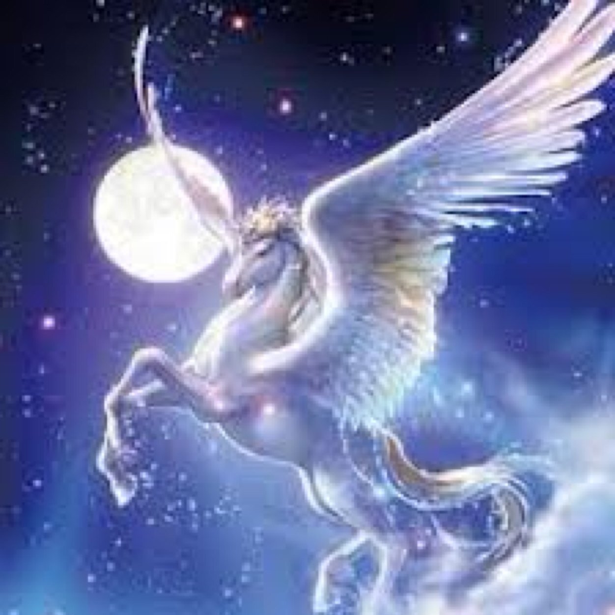 おうまさま Kotterisoup Twitter