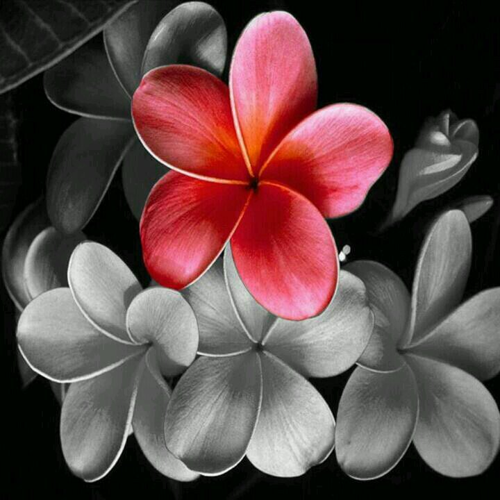 KathyVanderven's profile picture. 