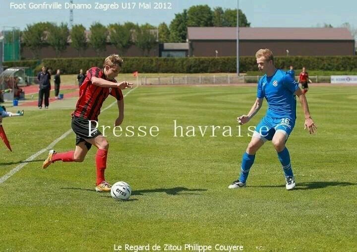 nicojung2's profile picture. 