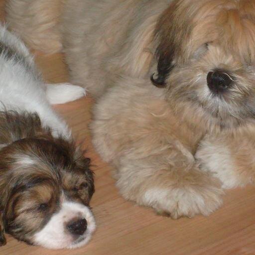 EmerWallace's profile picture. I am a Fibro/Arthritis/ Diabetic/ Asthma/CFS sufferer and that is just the beginning i want learn how to beat them before they beat ME.